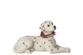 J-Line Liggende dalmatiër - polyresin - wit/zwart