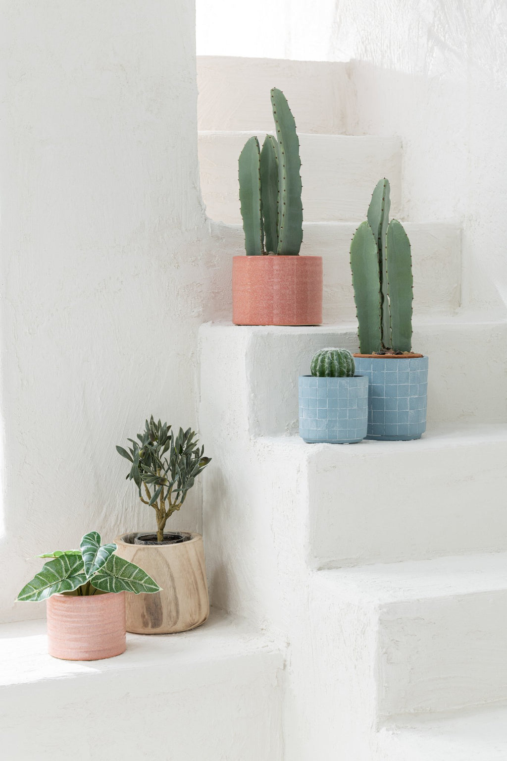 J-Line Cactus 3 Stuks In Pot Kunststof Groen Klein