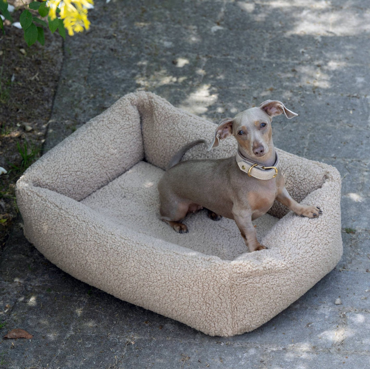 Teddy Ortho | Premium orthopedisch hondenbed