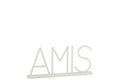 J-Line decoratie Amis - metaal - wit