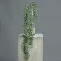Succulent hanger 80cm groen