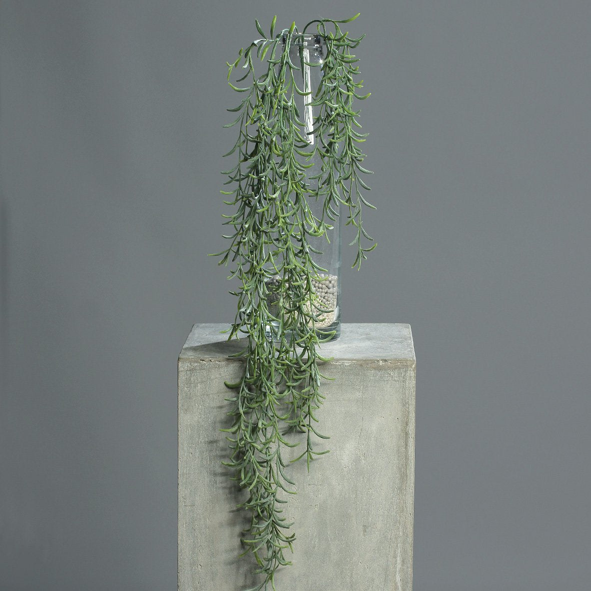 Succulent hanger 80cm groen