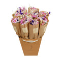 Gedroogde bloemen - Market Meer - Paarse gloed
