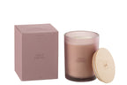 J -Line Geurkars Essential Agreements - Frivolous Fig - Paars - 52U