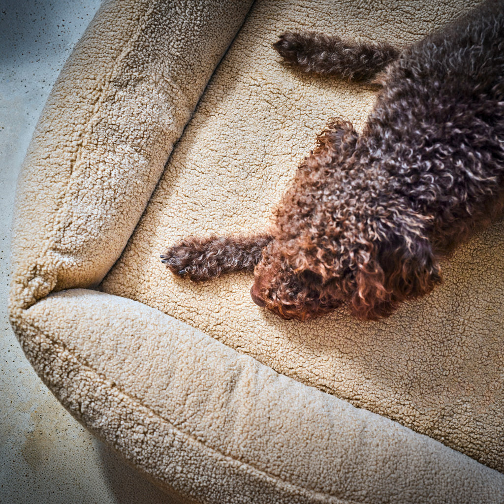 Teddy Ortho | Premium orthopedisch hondenbed