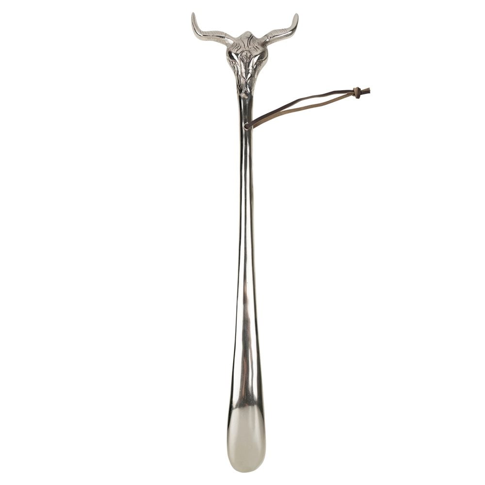 Schoenlepel schedel stier 55cm