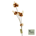 Prunus malaga spray beige/bruin 84
