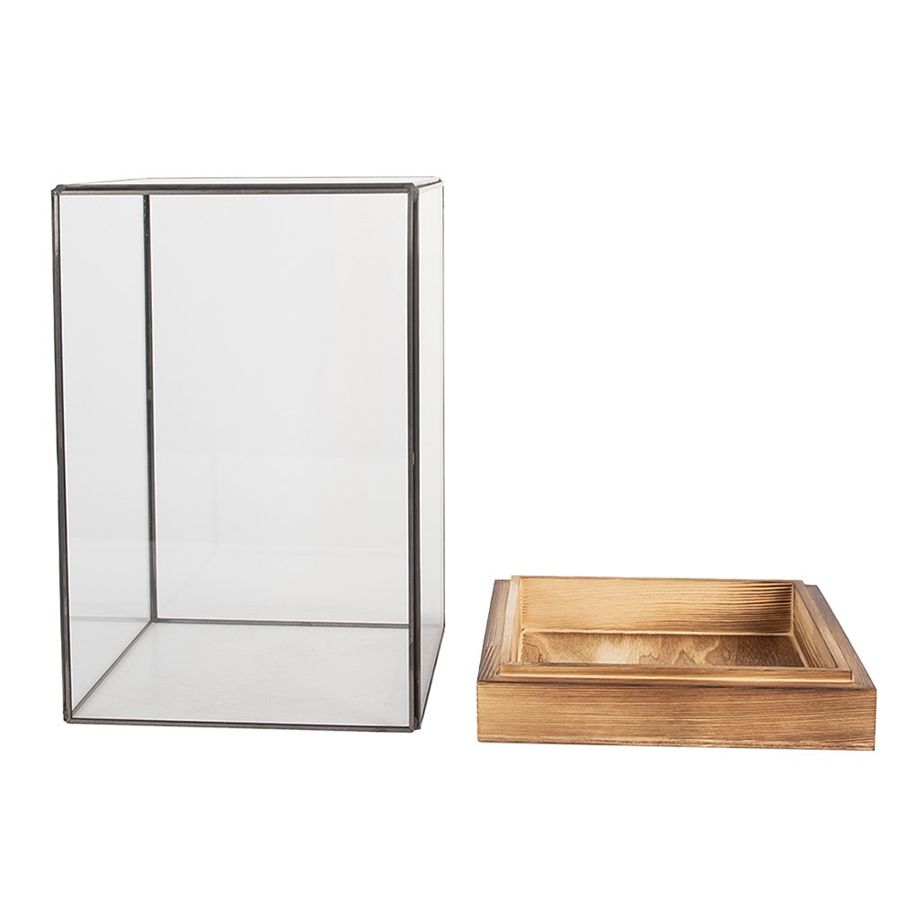Decoratie Kweekkastje 12x12x19 cm Transparant Glas
