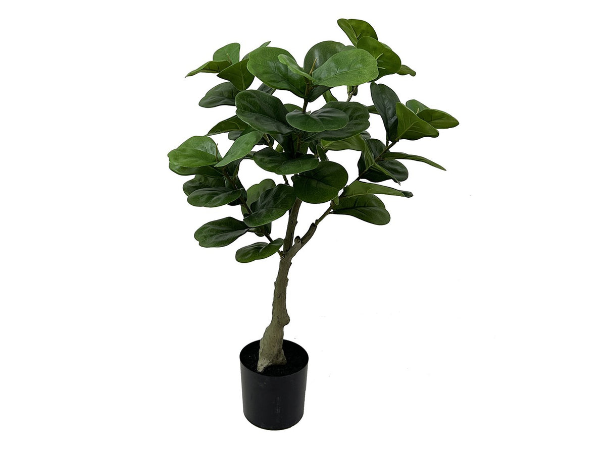 Kunstplant Ficus