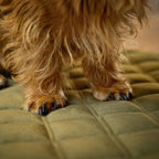 Oxford fluwelen deken voor honden