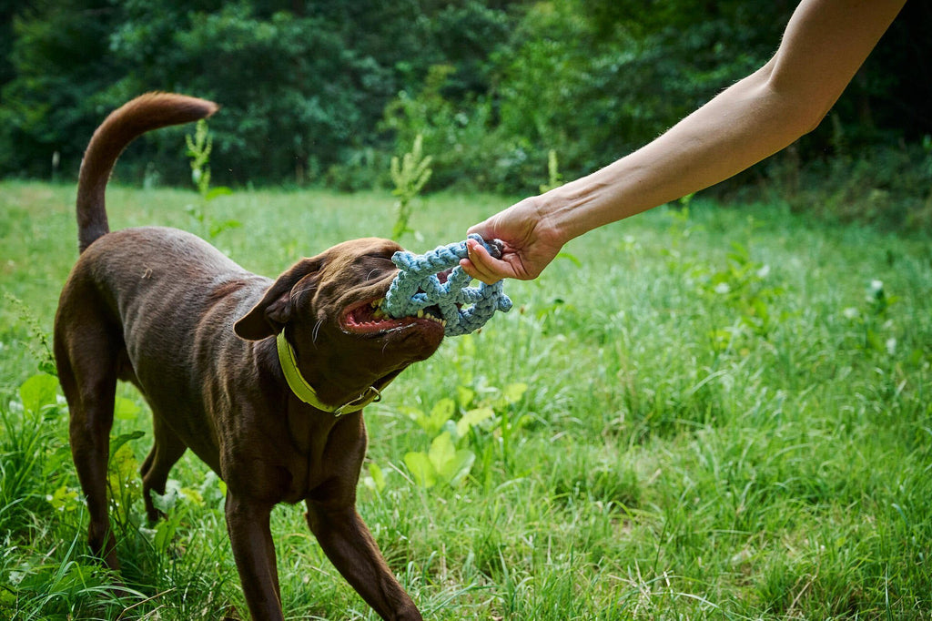 Skipper - cultspeelgoed voor honden
