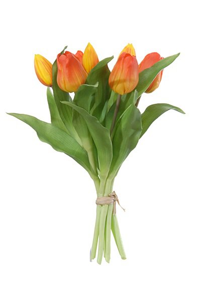 07600.502 Tulpenbundel 30cm oranje