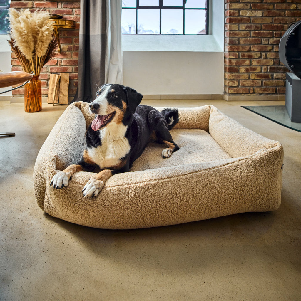 Teddy Ortho | Premium orthopedisch hondenbed