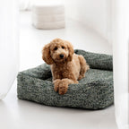 Siena Ortho | Premium orthopedisch hondenbed