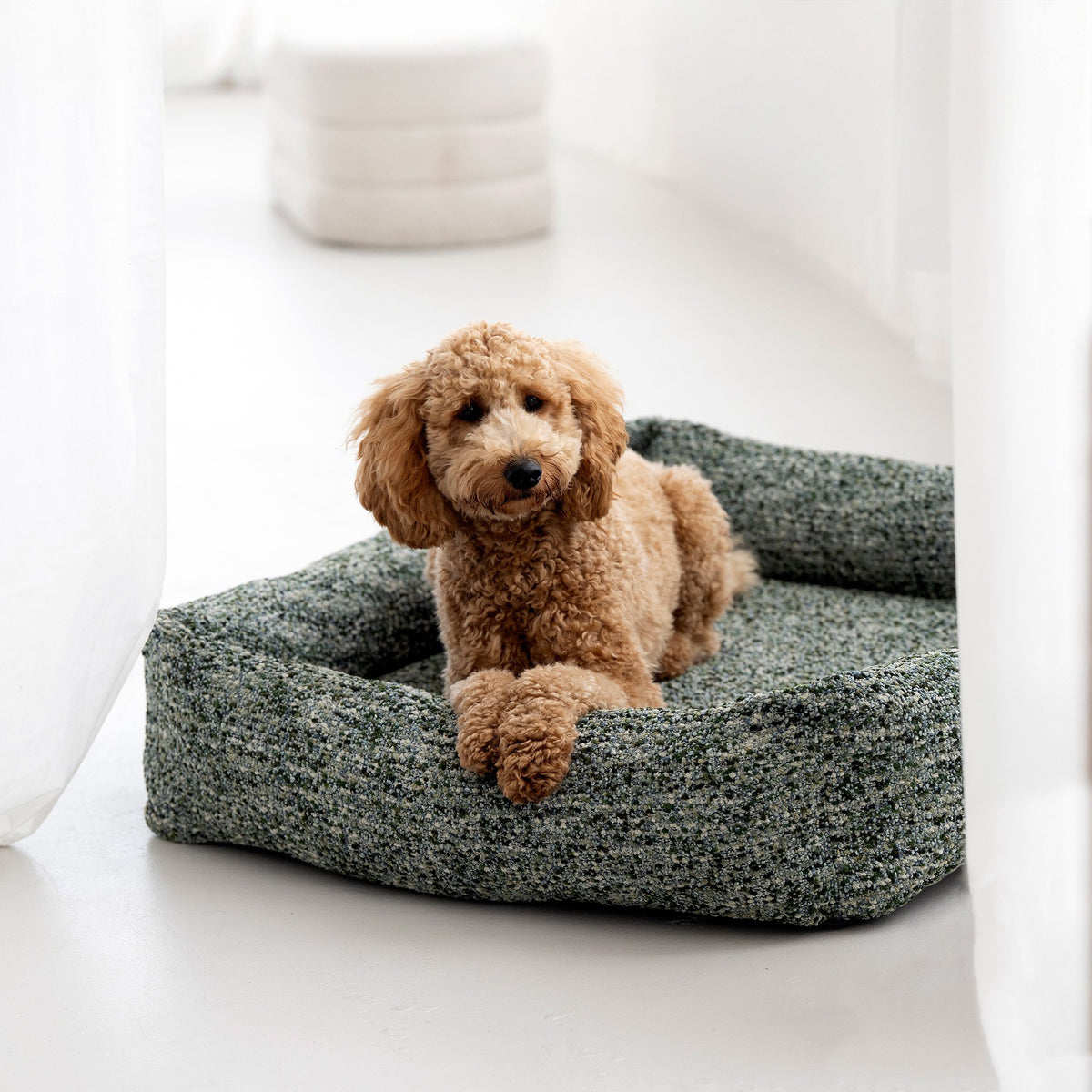 Siena Ortho | Premium orthopedisch hondenbed