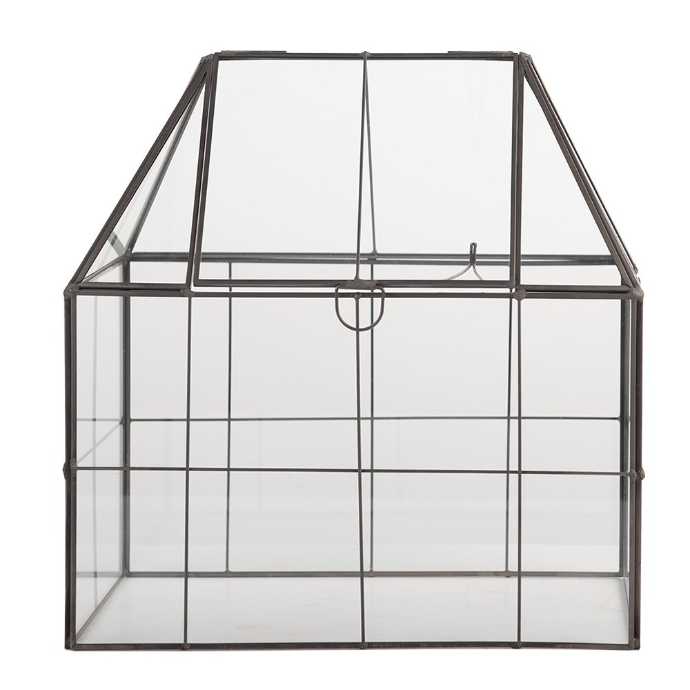 Decoratie KweekKastje 26x17x32 cm transparant Glas