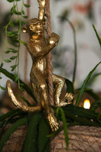 Wandhaak 8x6x19 cm Goudkleurig IJzer Kapstok