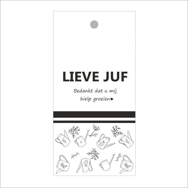 Cadeaukaartjes - Lieve Juf- 20 stuks