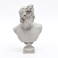 Klassieke witte Griekse godin buste sculptuur – luxe marmeren look standbeeld voor huisdecoratie, tafeldecoratie en kantoorstyling
