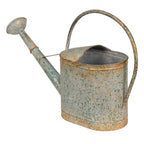 Decoratie Gieter 50x16x33 cm Grijs Groen Metaal Plantengieter