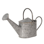 Decoratie Gieter 44x12x22 cm Grijs IJzer Plantengieter
