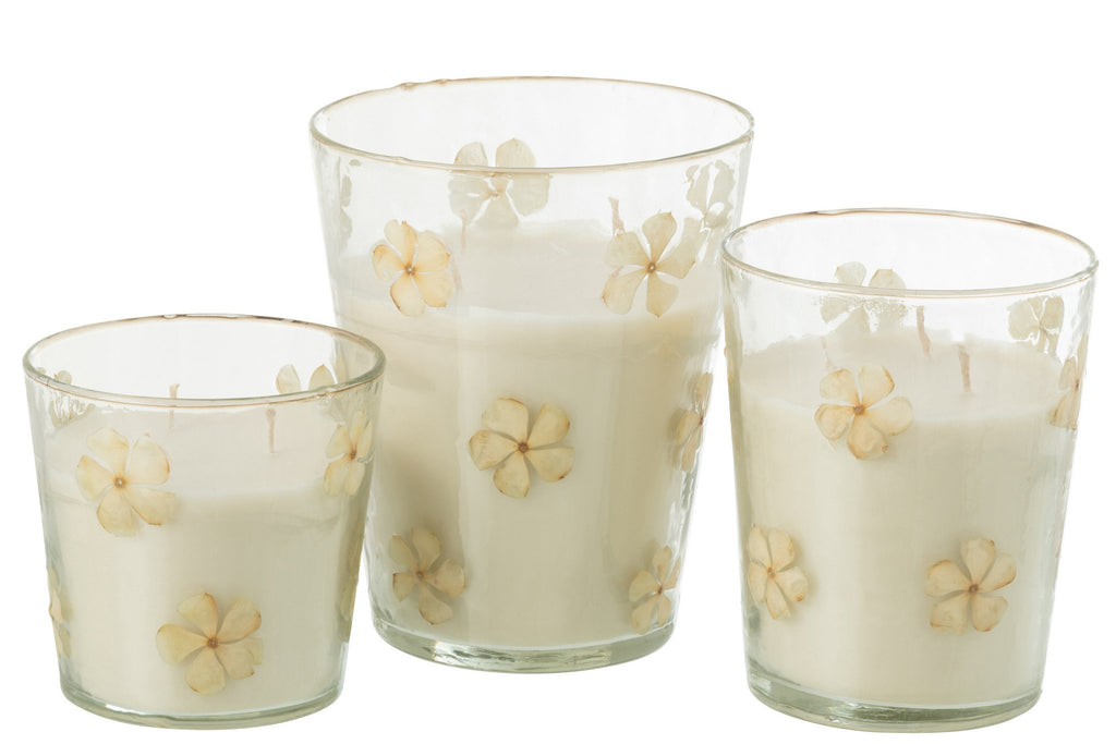 J-Line geurkaars Bloemen - Tender Rose - glas - transparant - L - 75U