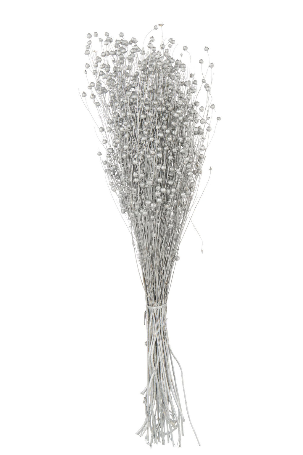 J-Line decoratie droogbloem - riet - zilver