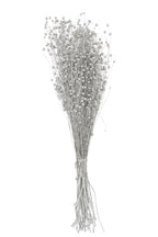 J-Line decoratie droogbloem - riet - zilver
