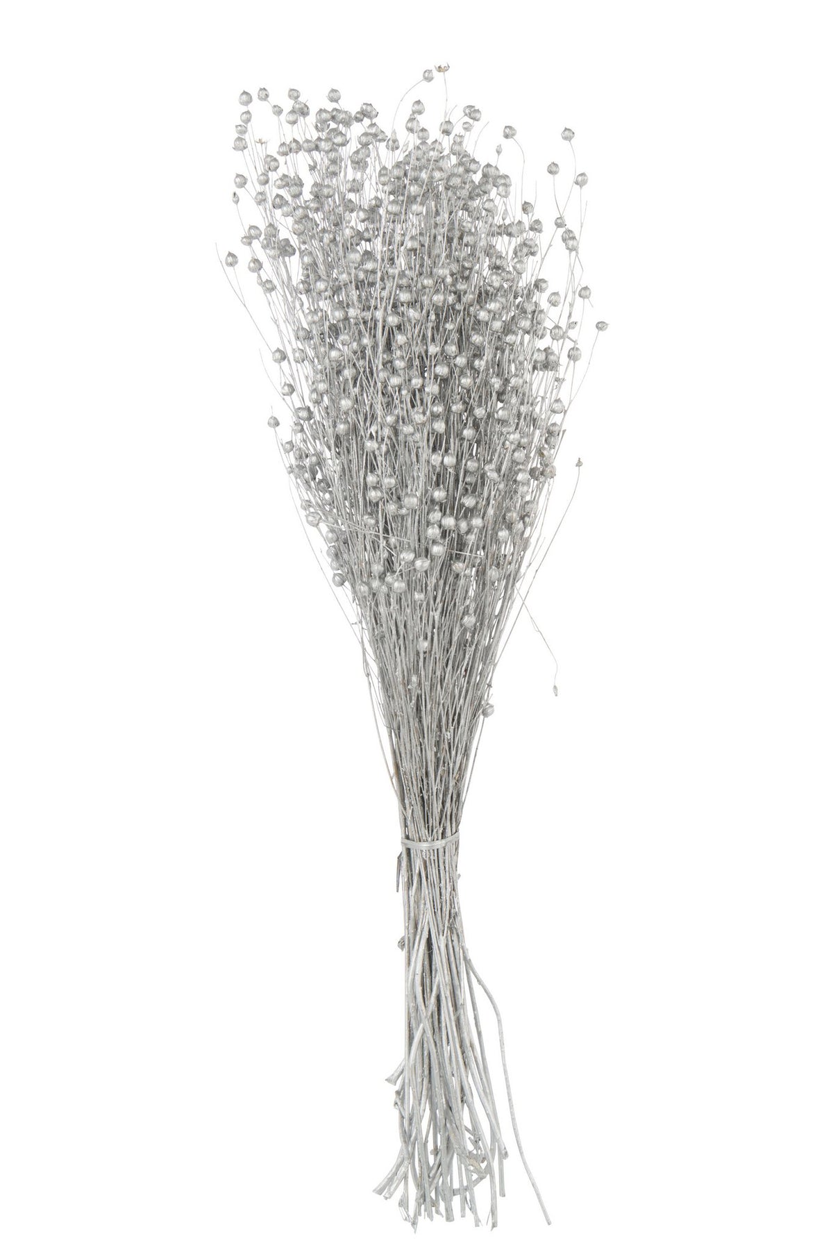 J-Line decoratie droogbloem - riet - zilver