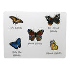 *placemat vlinders 30x40cm (4)*