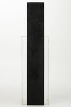 J-Line spiegel - hout - zwart - L