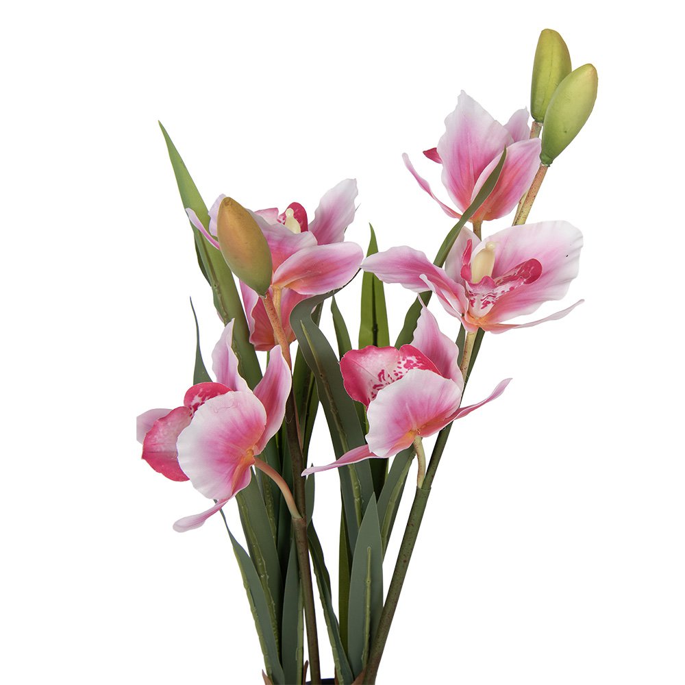 Kunstplant 14x14x55 cm Roze Kunststof