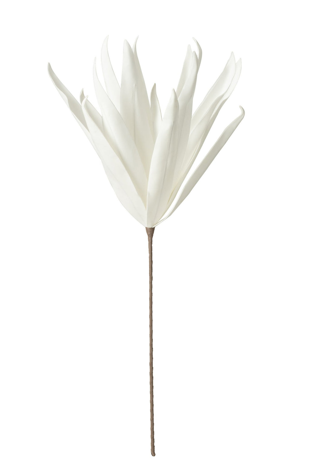 J-Line Bloem Tak Lange Bladeren 1 Kop Eva - polyresin - wit