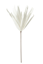 J-Line Bloem Tak Lange Bladeren 1 Kop Eva - polyresin - wit