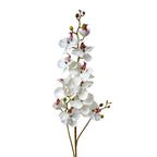Kunstbloem 116 cm Wit Kunststof