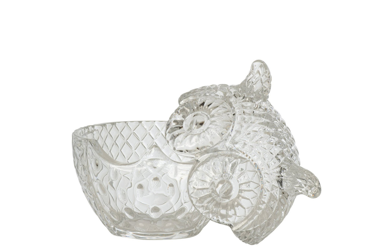 J-Line Decoratieve pot met uil - glas - transparant