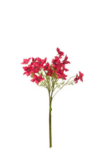 J-Line bundel 3 Kornoelje - textiel - fuchsia