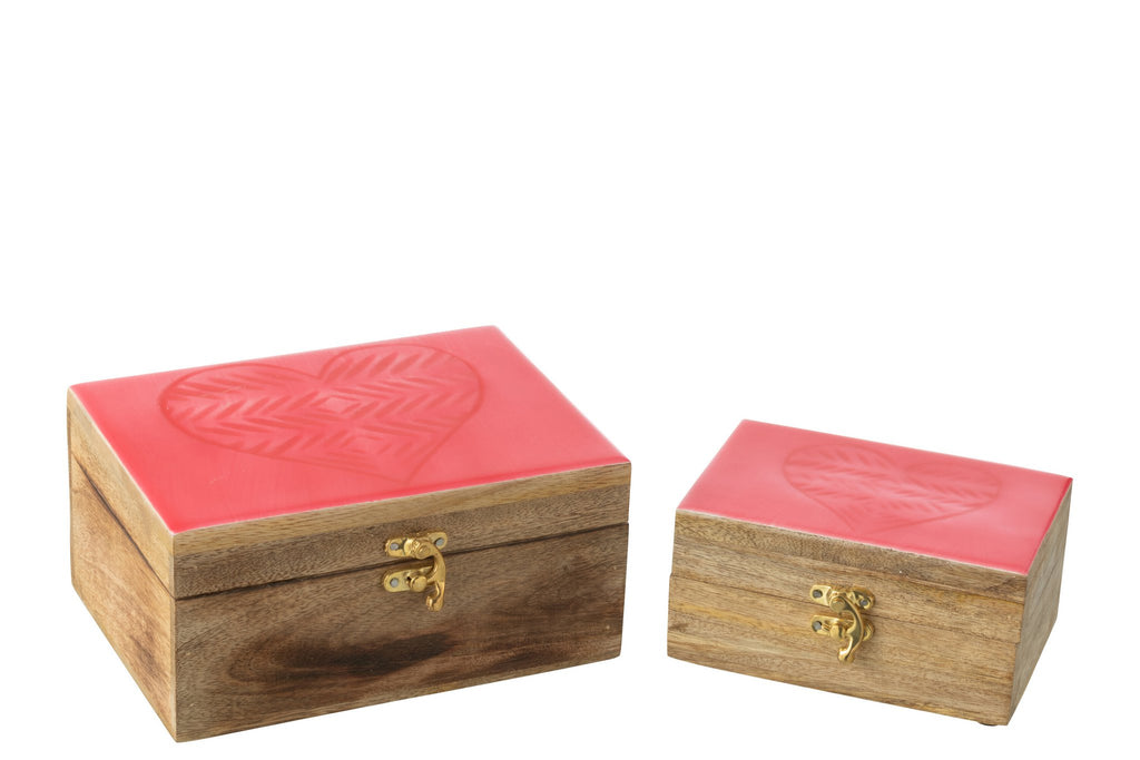 J-Line Set Van 2 Dozen Hart Mangohout Roze
