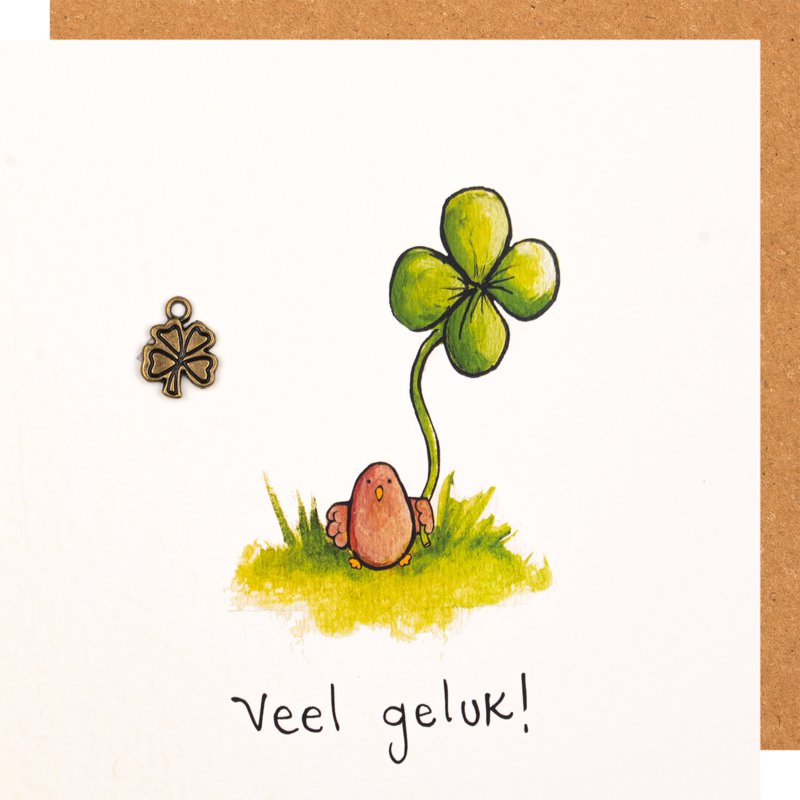 BM 29 Veel geluk