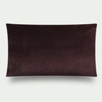 263 Pillow Roaring.2 60x40