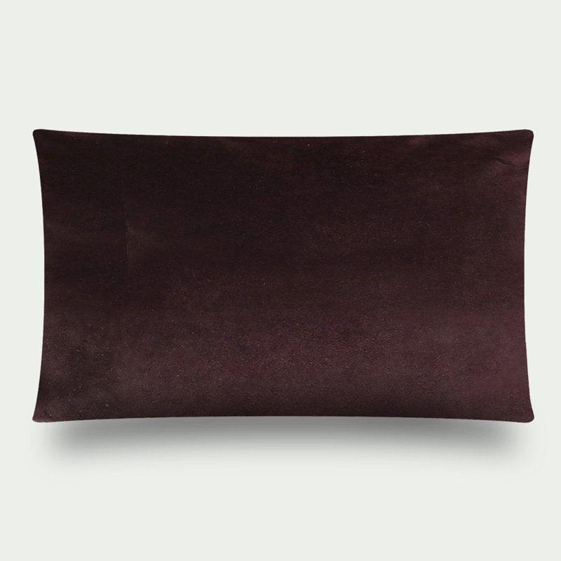 263 Pillow Roaring.2 60x40