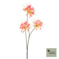 Spinbloemtros perzik 94cm