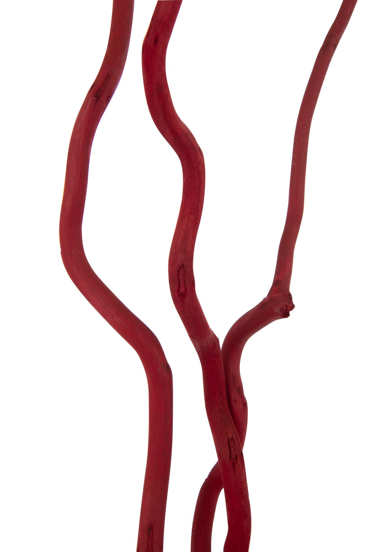 J-Line decoratie tak Droogbloemen - riet - rood - L - set van 5