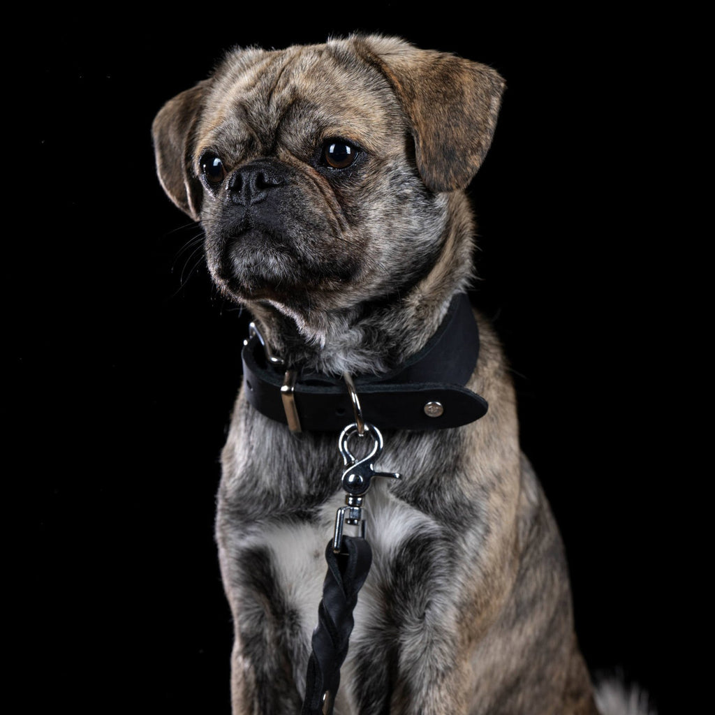 Giro leren riem voor honden