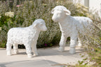J-Line Schaap Buiten Mgo Beige Small