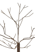 J-Line decoratie Boom - metaal - bruin - small
