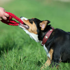Paula & Paulchen Peace - cultspeelgoed voor honden