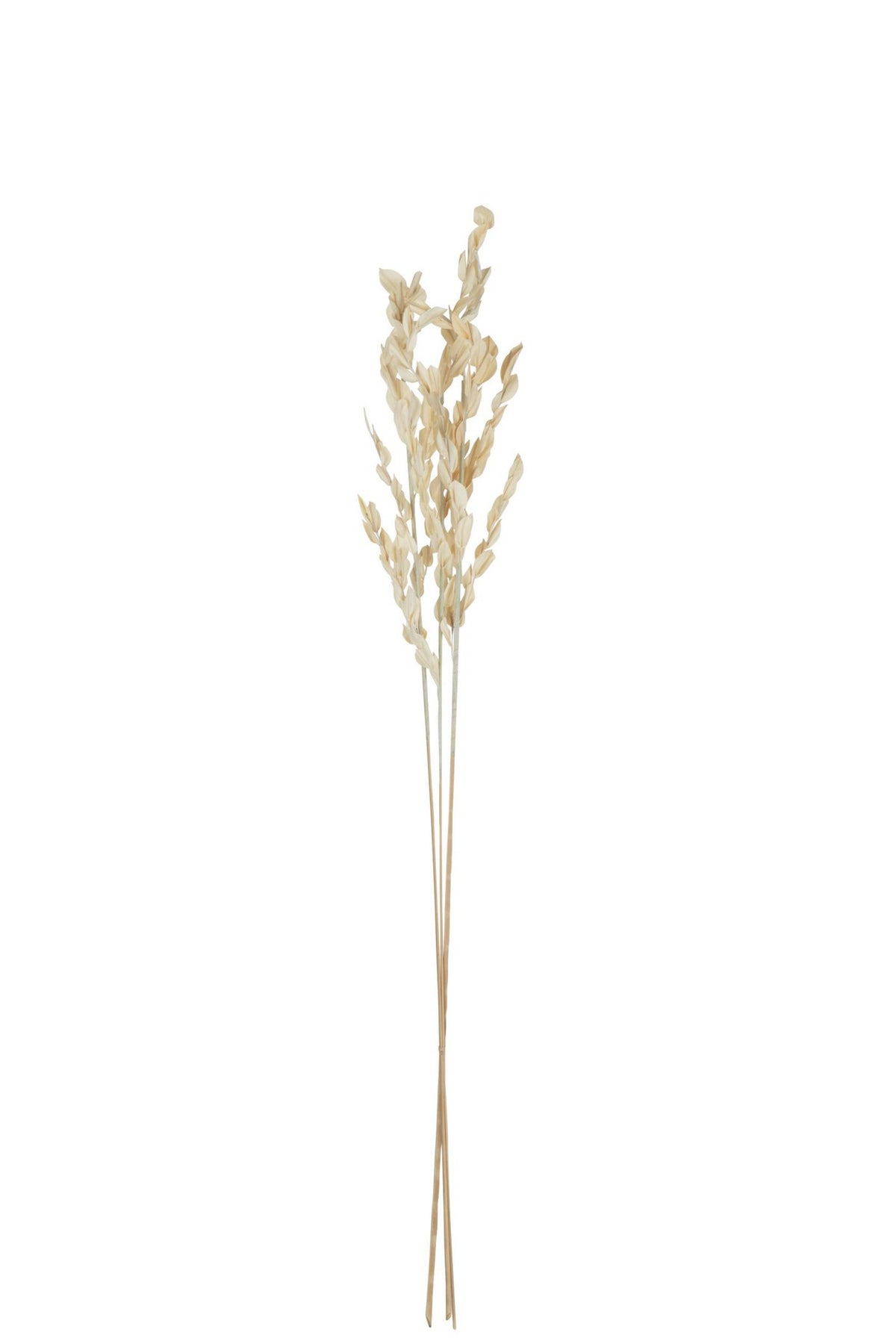 J-Line gedroogde Bladeren - jute - naturel - small