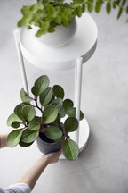 Yamazaki Tower Plantenstandaard 2-laags op wielen