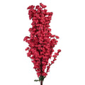 Decoratie Tak 100 cm Roze Kunststof